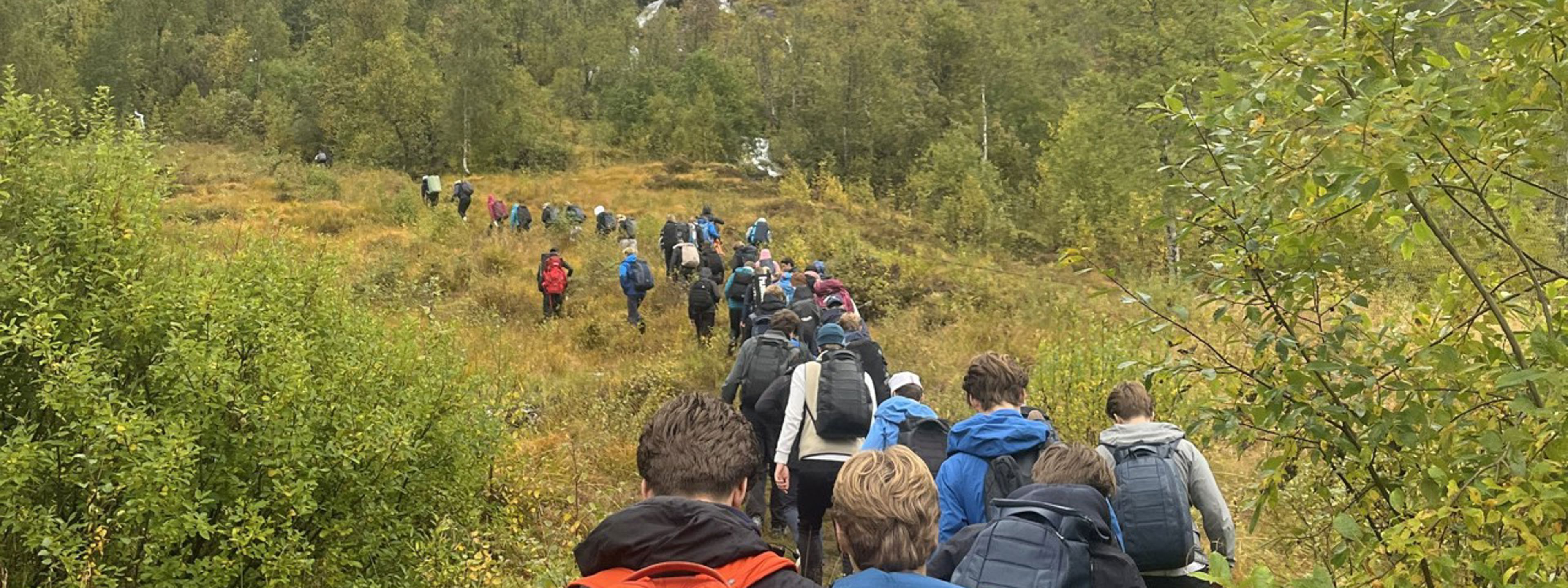 Gruppe med elever som går på tur i en skog, på rekke.