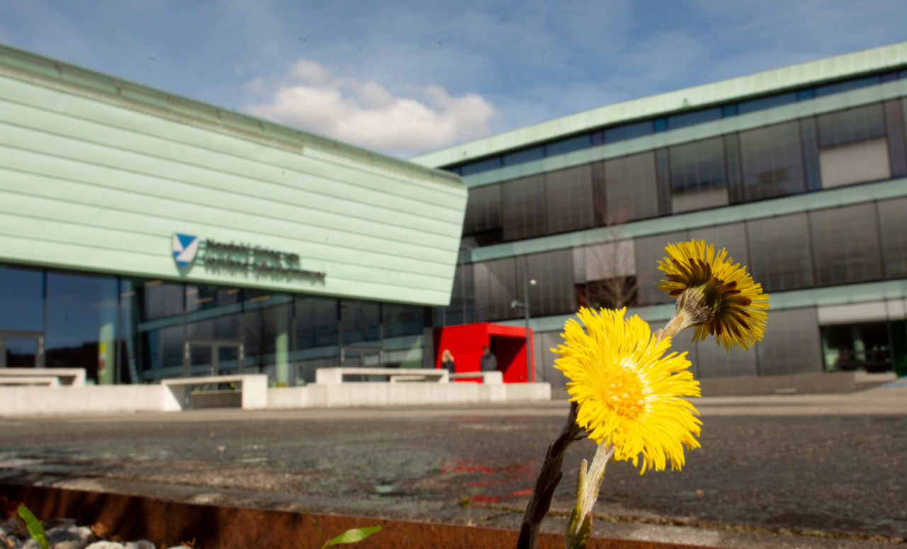 Skolebygget med hestehov foran Foto: avd AL