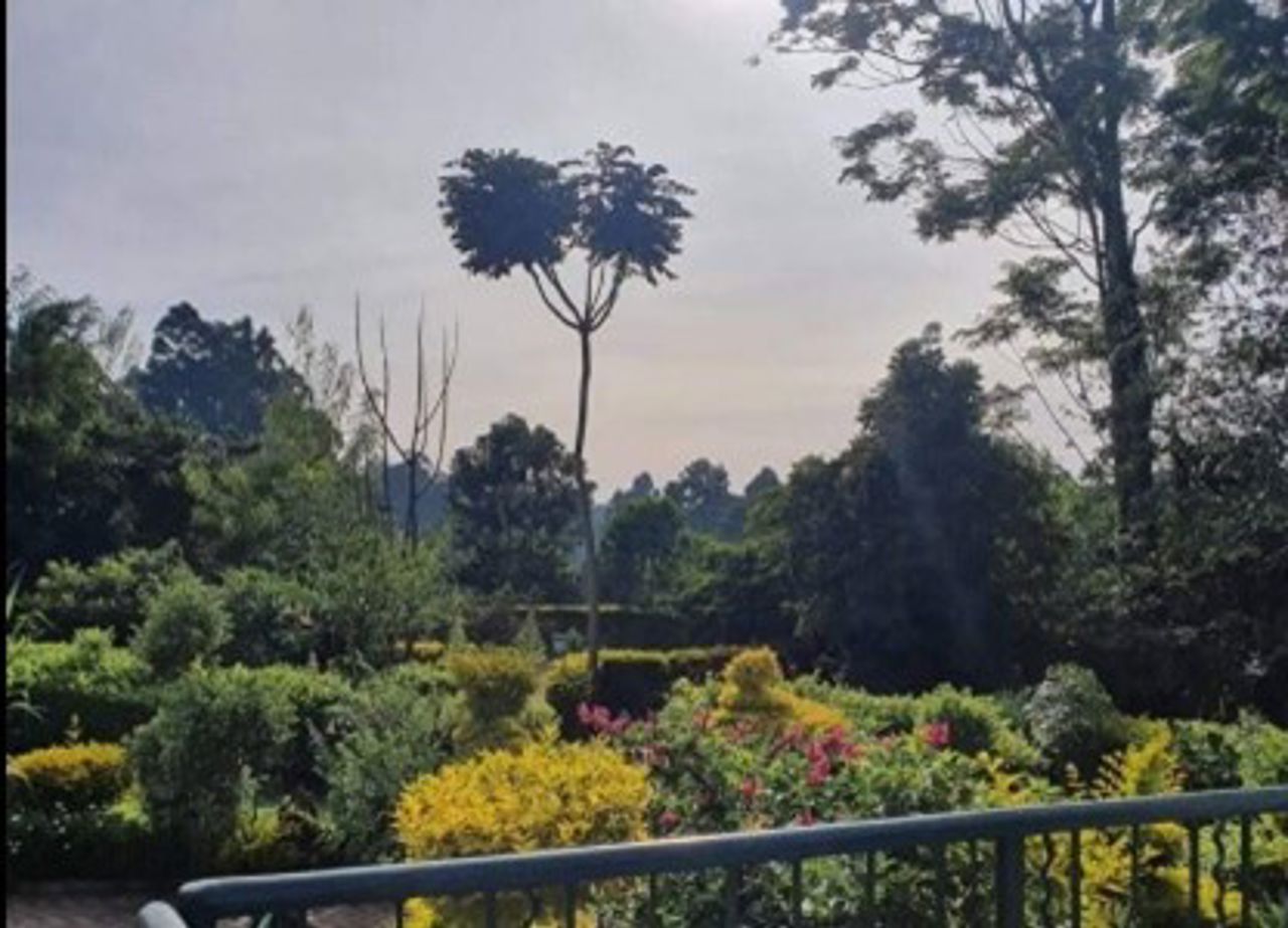 Kenya2.jpg