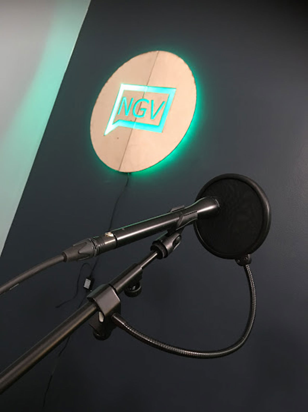 NGVmedia LOGO _MIKROFON.JPG