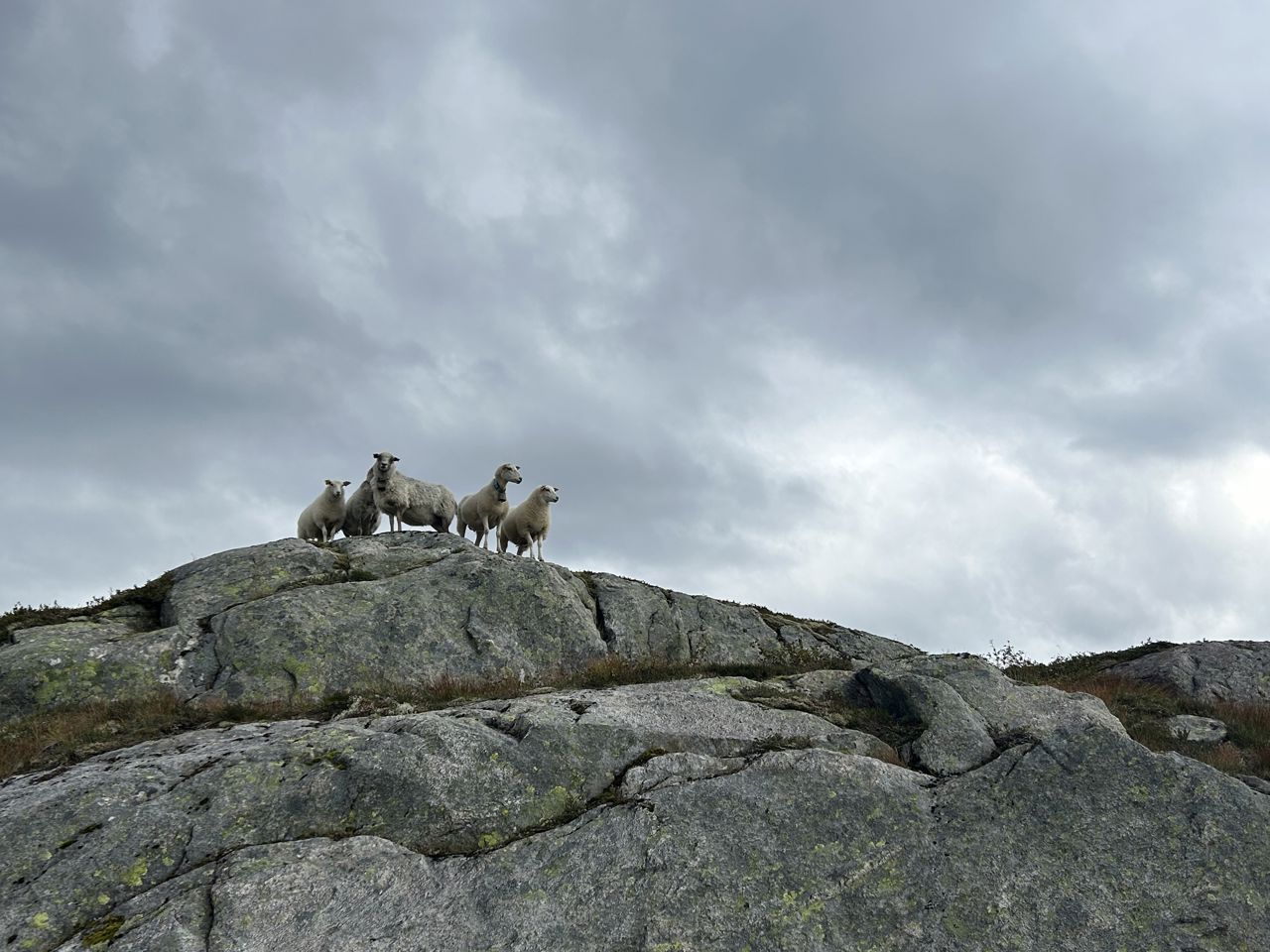 Stordalen9.jpeg